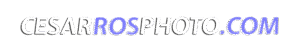 Cesarrosphoto – Sesiones de book y fotografía publicitaria