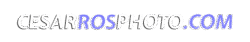 Cesarrosphoto – Sesiones de book y fotografía publicitaria